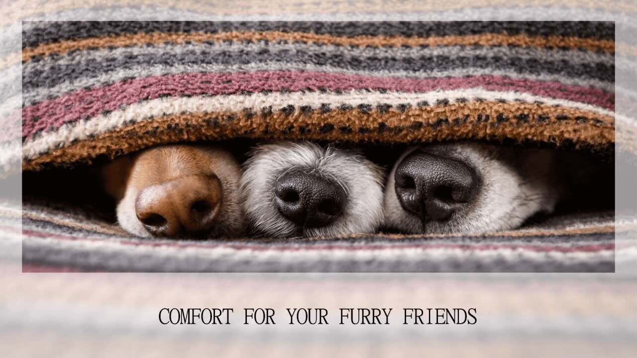 🔑 Key Essential Benefits of EVA Mats for Pet Owners 🐶🐱